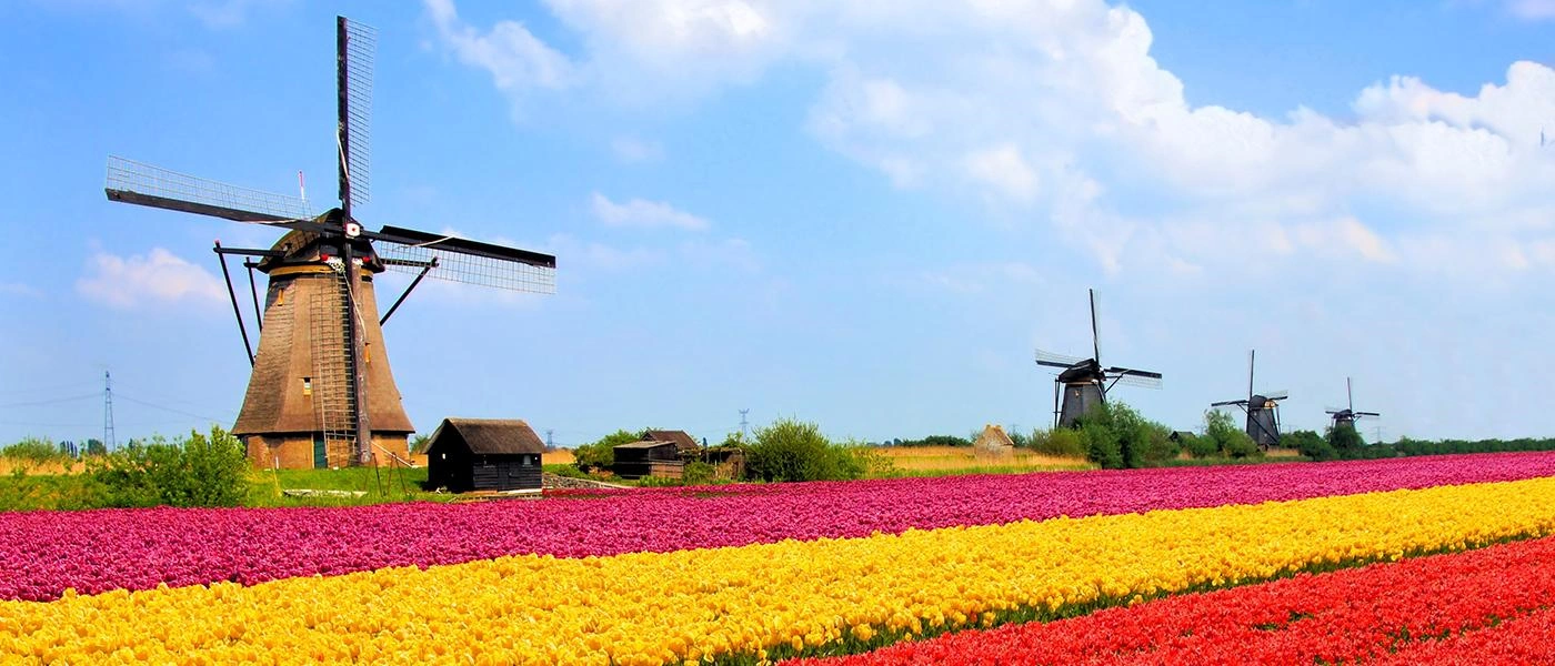 Kelionė į Belgiją – Olandiją su galimybe apsilankyti gėlių parke Keukenhof 6 d. Skrydis iš Vilniaus