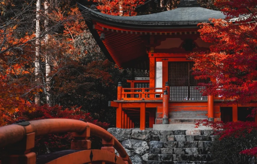 Nepažinta Japonija 13 d. (Tokijas, Osaka ir Kioto)