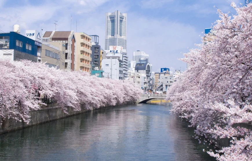 Nepažinta Japonija 13 d. (Tokijas, Osaka ir Kioto)